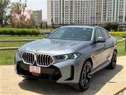 بي ام دبليو X6